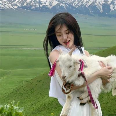 闪闪惹人爱
